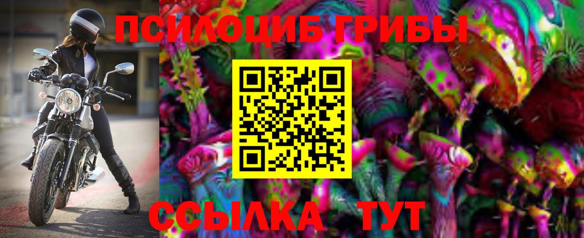 Нарткала  Псилоцибиновые грибы мицелий  Вход с VPN 