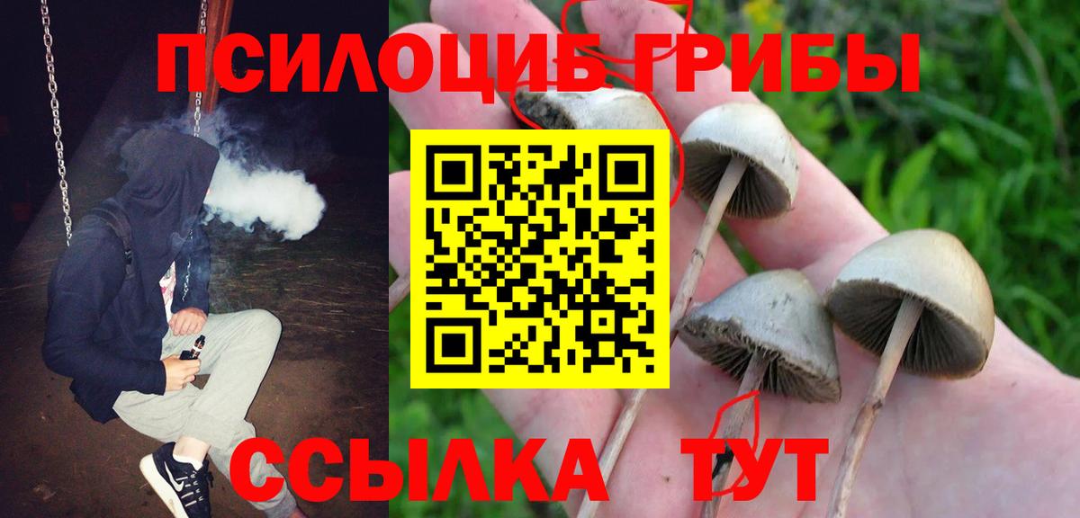 Псилоцибиновые грибы ЛСД Нарткала